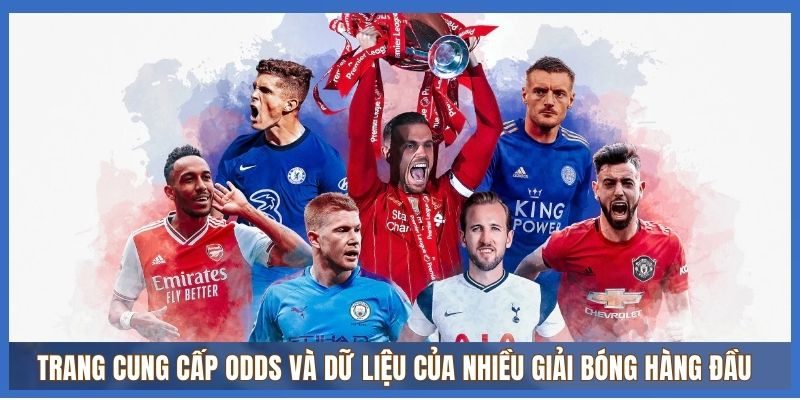 Trang cung cấp odds và dữ liệu của nhiều giải bóng hàng đầu