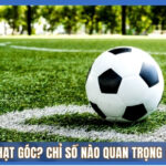 Mẹo bắt kèo phạt góc
